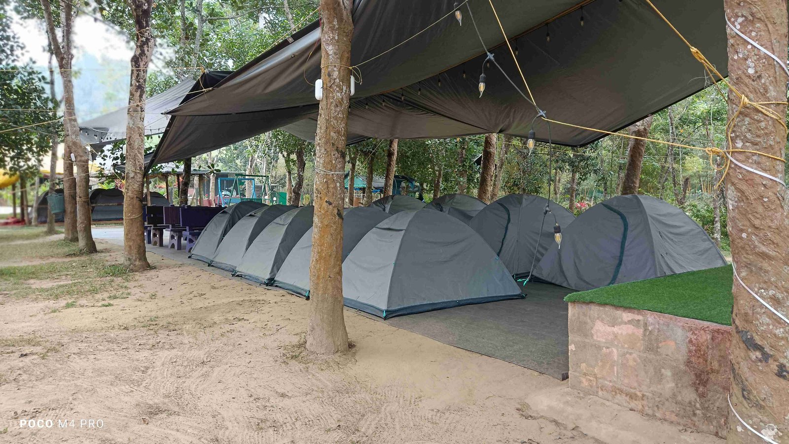 Camping tents at Clay Club Farm Stay